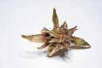 handmade botanical bud ring silver gold