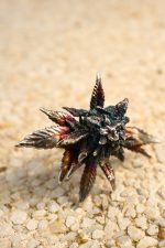 artisan botanical ring silver inlay