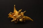aurora bud gold ring botanical 420karat