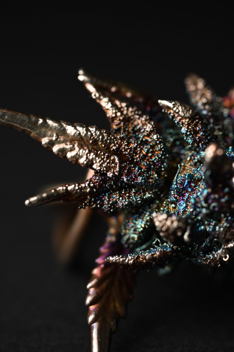 botanical leaf art object