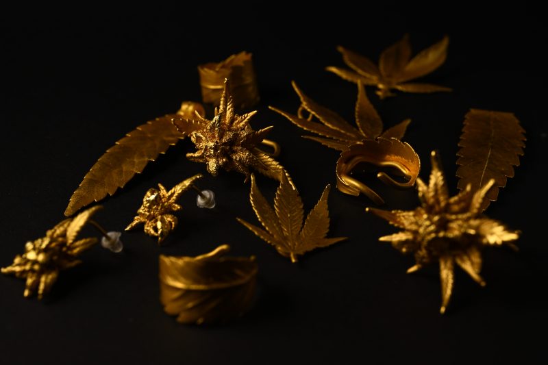nature based botanical art
