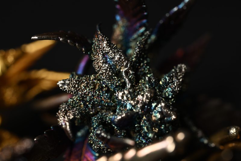 nature preserved jewelry piece